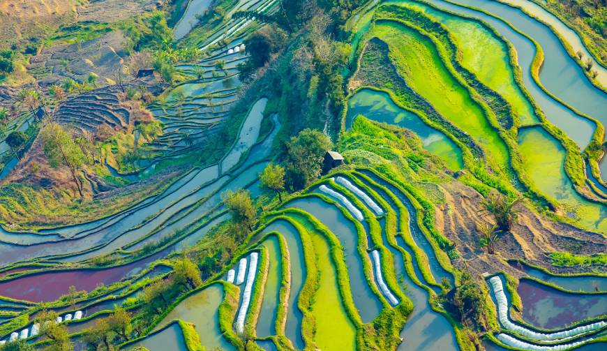 走进遵义县TVC拍摄：解锁本地化场景与创意镜头的完美融合
